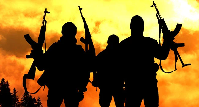 148 Kidnap Victims Released From Zamfara Forest — DHQ